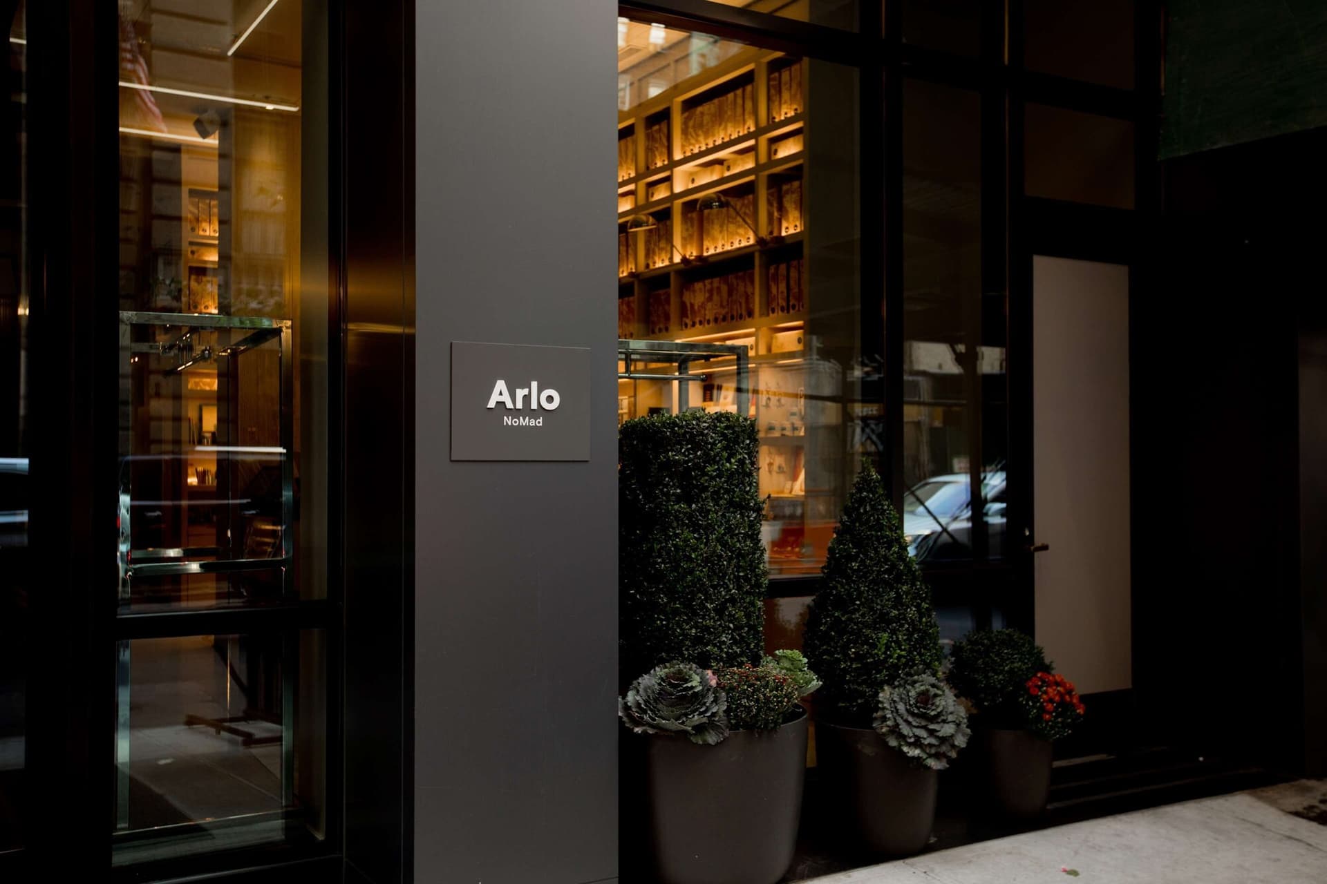Arlo NoMad