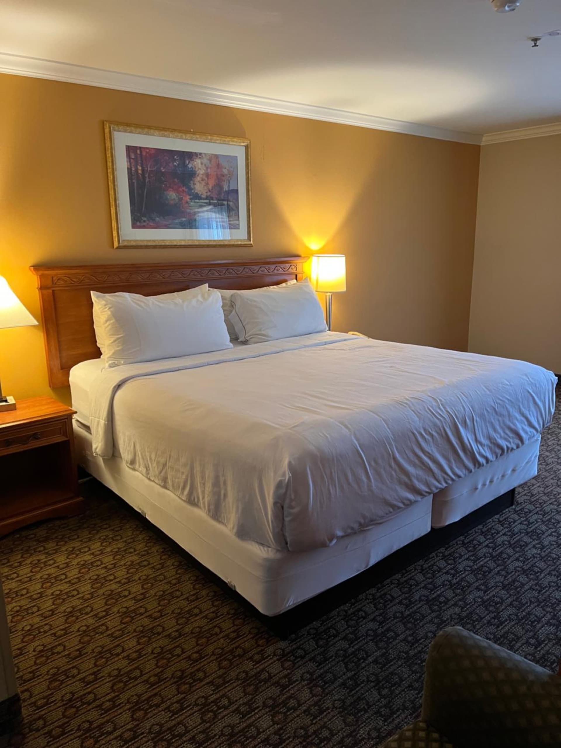 Hotel XOLA