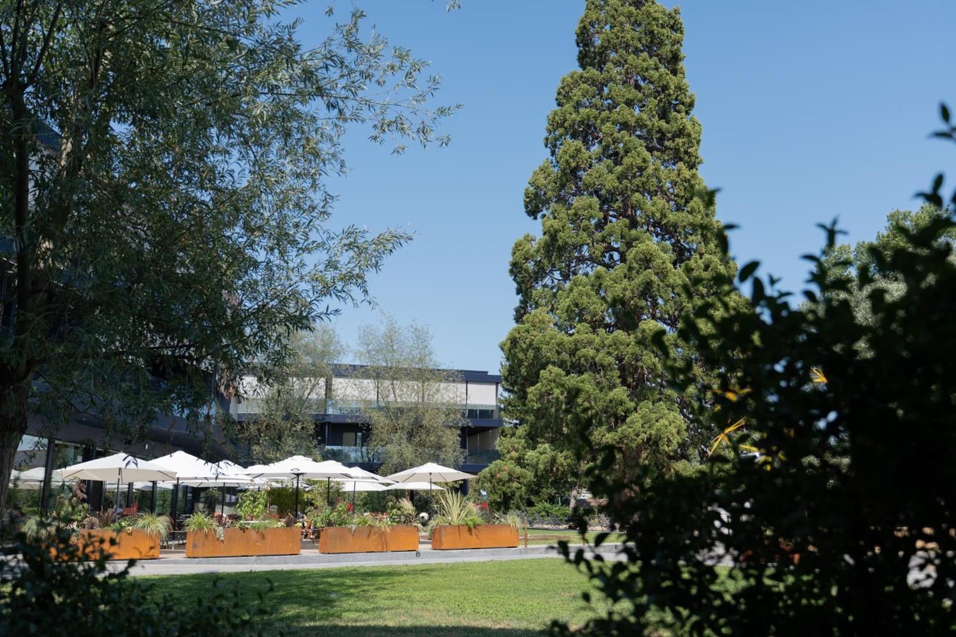 Pattùs Hotel