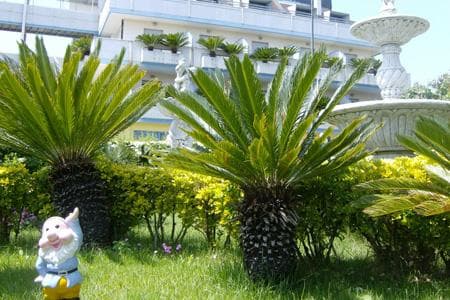Hotel Marina Rosetto Degli Abruzzi