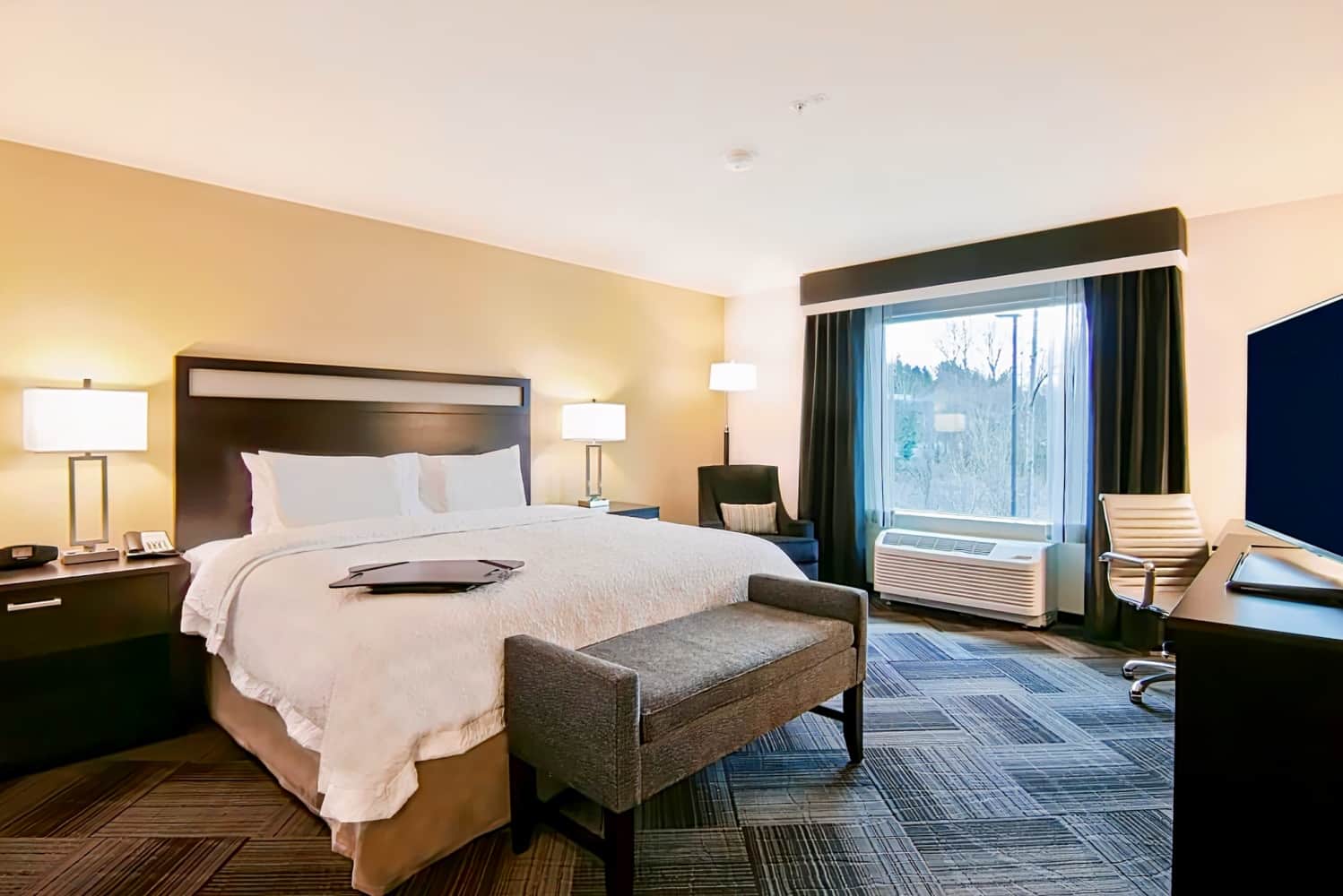 Hampton Inn & Suites by Hilton Bellevue Downtown