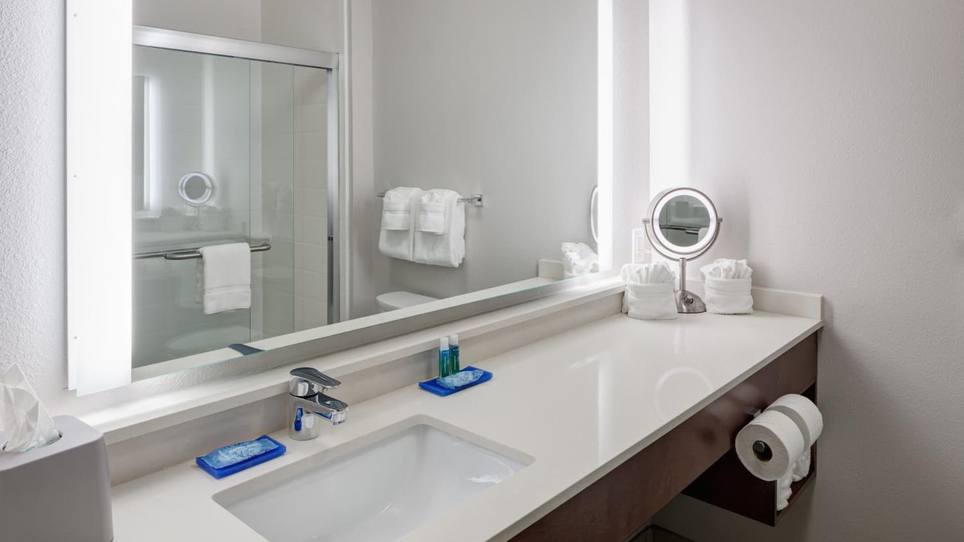 Holiday Inn Express & Suites Orlando At Seaworld, an IHG Hotel