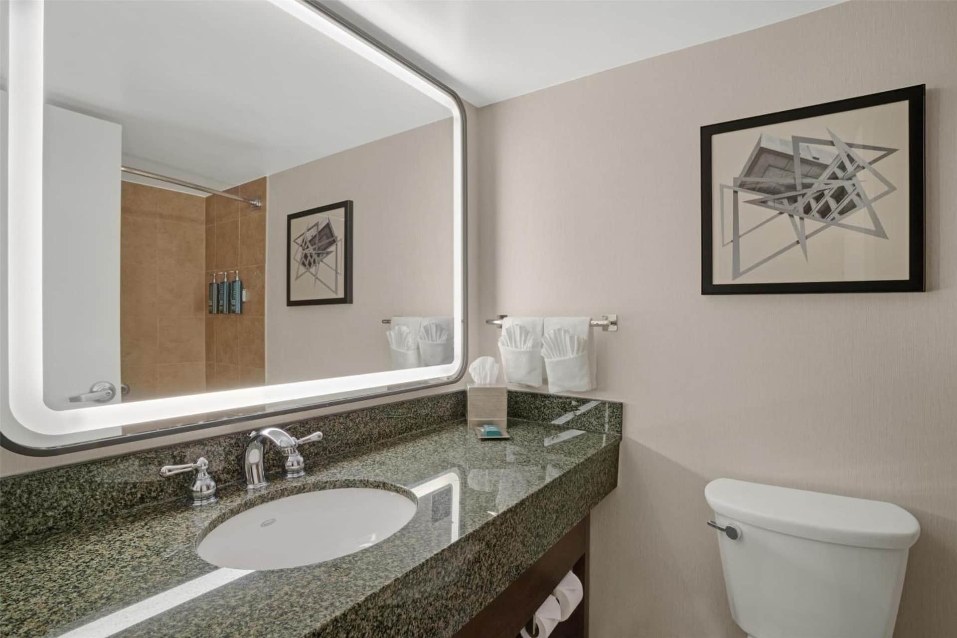 Hilton Arlington National Landing