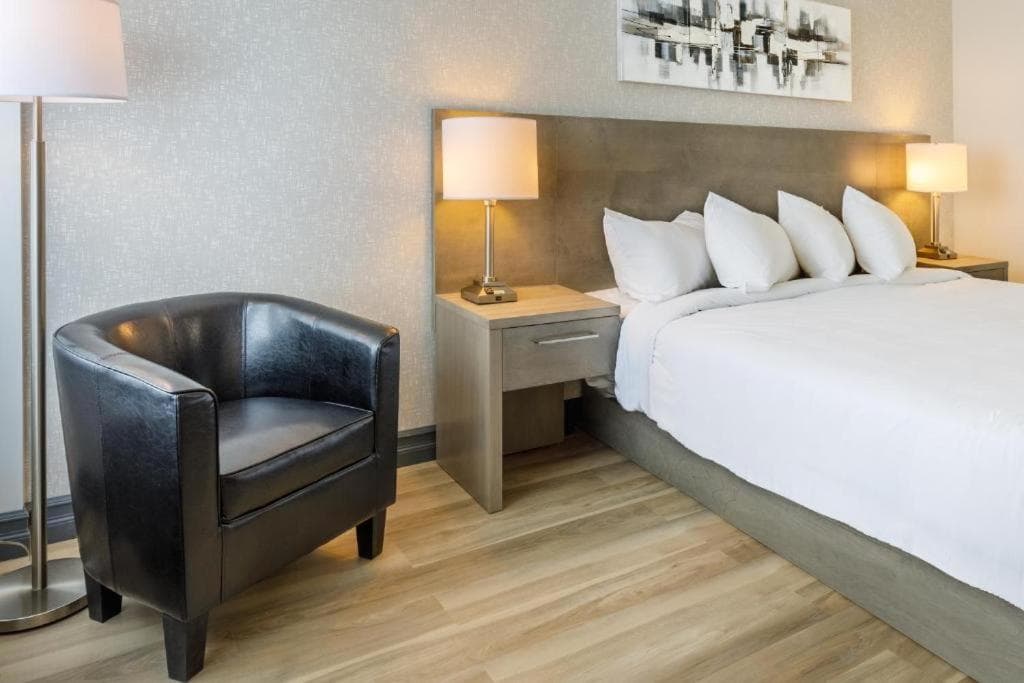 Repotel Levis
