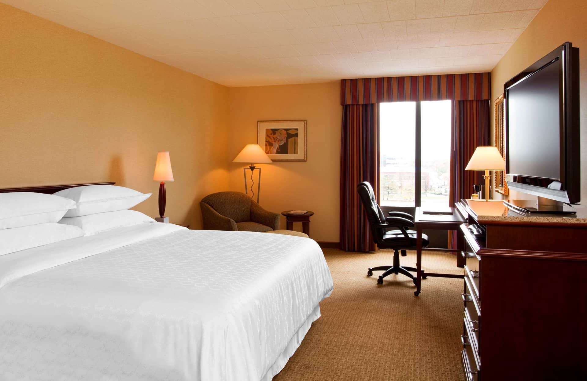 Radisson Hotel JFK Airport